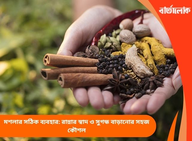মশলার সঠিক ব্যবহার: রান্নার স্বাদ ও সুগন্ধ বাড়ানোর সহজ কৌশল