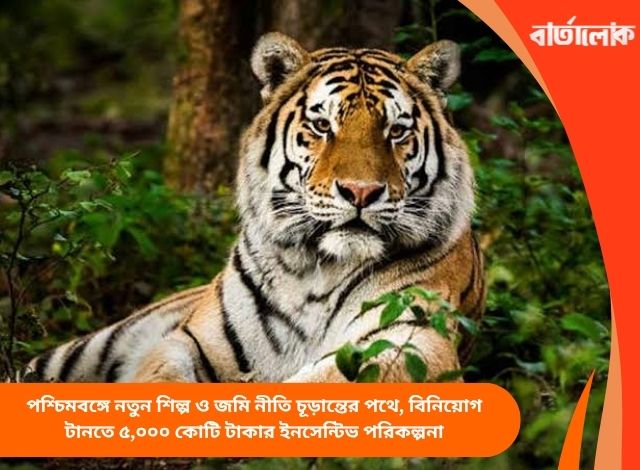 বক্সায় বাঘ পুনর্বাসন ও রাজ্যজুড়ে ১০ কোটি গাছ, পশ্চিমবঙ্গে বন দপ্তরের দুই মেগা প্রকল্প