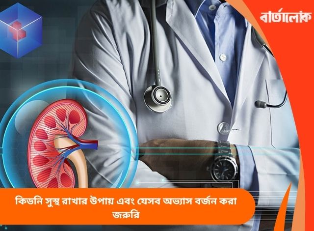 কিডনি সুস্থ রাখার উপায় এবং যেসব অভ্যাস বর্জন করা জরুরি
