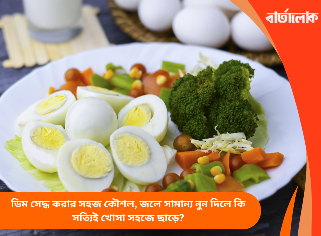 ডিম সেদ্ধ করার সহজ কৌশল, জলে সামান্য নুন দিলে কি সত্যিই খোসা সহজে ছাড়ে?