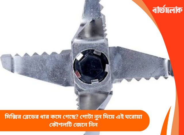 মিক্সির ব্লেডের ধার কমে গেছে? গোটা নুন দিয়ে এই ঘরোয়া কৌশলটি জেনে নিন