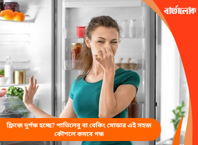ফ্রিজে দুর্গন্ধ হচ্ছে? পাতিলেবু বা বেকিং সোডার এই সহজ কৌশলে কমবে গন্ধ