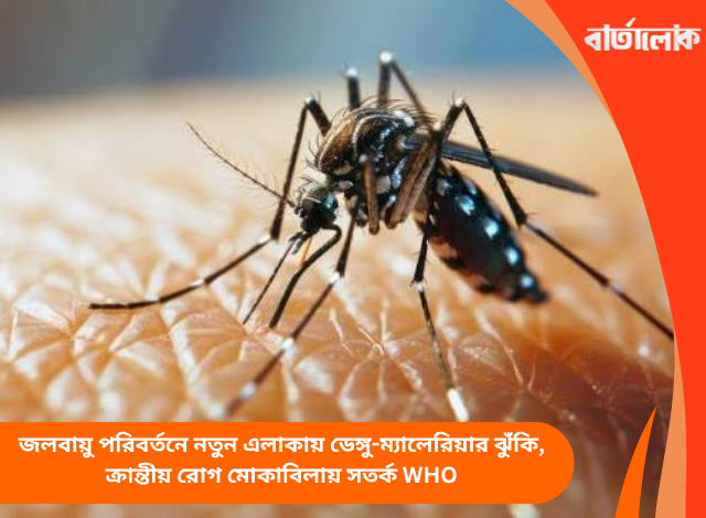 জলবায়ু পরিবর্তনে নতুন এলাকায় ডেঙ্গু-ম্যালেরিয়ার ঝুঁকি, ক্রান্তীয় রোগ মোকাবিলায় সতর্ক WHO