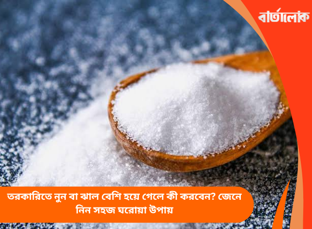 তরকারিতে নুন বা ঝাল বেশি হয়ে গেলে কী করবেন? জেনে নিন সহজ ঘরোয়া উপায়