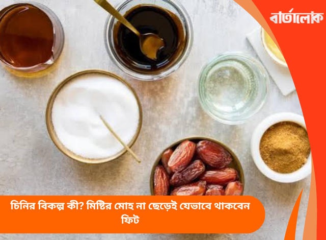 চিনির বিকল্প কী? মিষ্টির মোহ না ছেড়েই যেভাবে থাকবেন ফিট