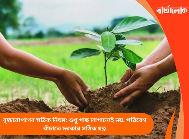 বৃক্ষরোপণের সঠিক নিয়ম: শুধু গাছ লাগানোই নয়, পরিবেশ বাঁচাতে দরকার সঠিক যত্ন