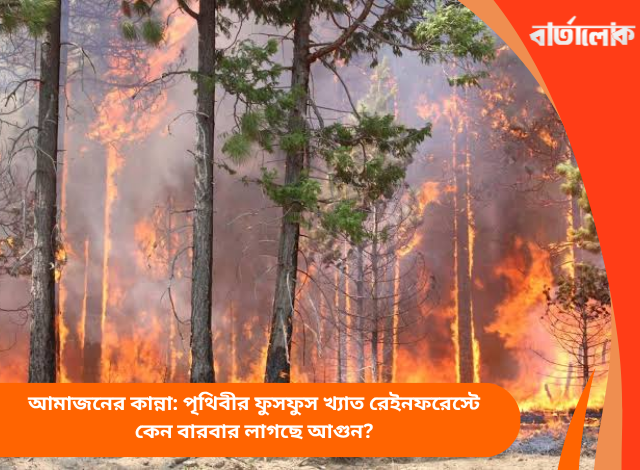 আমাজনের কান্না: পৃথিবীর ফুসফুস খ্যাত রেইনফরেস্টে কেন বারবার লাগছে আগুন?