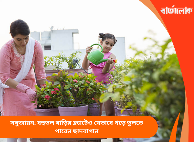 সবুজায়ন: বহুতল বাড়ির ফ্ল্যাটেও যেভাবে গড়ে তুলতে পারেন ছাদবাগান