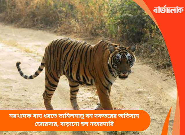 নরখাদক বাঘ ধরতে তামিলনাড়ু বন দফতরের অভিযান জোরদার, বাড়ানো হল নজরদারি