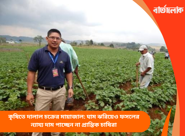 কৃষিতে দালাল চক্রের মায়াজাল: ঘাম ঝরিয়েও ফসলের ন্যায্য দাম পাচ্ছেন না প্রান্তিক চাষিরা