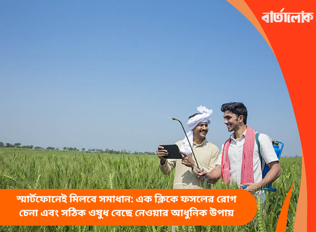 স্মার্টফোনেই মিলবে সমাধান: এক ক্লিকে ফসলের রোগ চেনা এবং সঠিক ওষুধ বেছে নেওয়ার আধুনিক উপায়