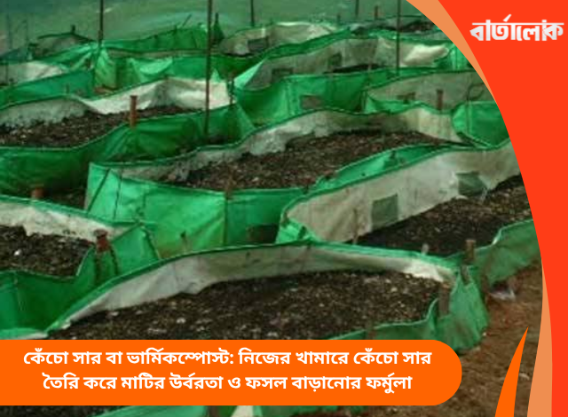 কেঁচো সার বা ভার্মিকম্পোস্ট: নিজের খামারে কেঁচো সার তৈরি করে মাটির উর্বরতা ও ফসল বাড়ানোর ফর্মুলা