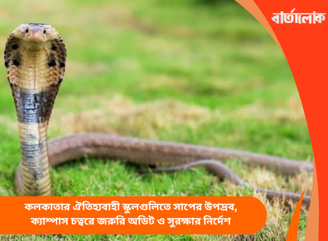 কলকাতার ঐতিহ্যবাহী স্কুলগুলিতে সাপের উপদ্রব, ক্যাম্পাস চত্বরে জরুরি অডিট ও সুরক্ষার নির্দেশ