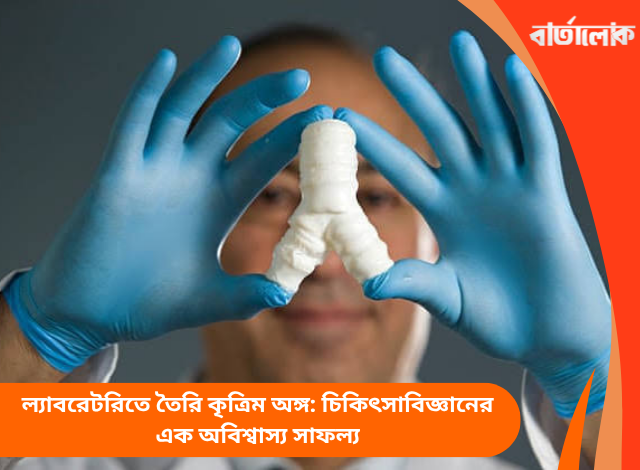 ল্যাবরেটরিতে তৈরি কৃত্রিম অঙ্গ: চিকিৎসাবিজ্ঞানের এক অবিশ্বাস্য সাফল্য