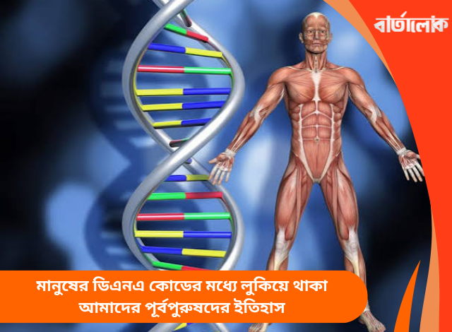 মানুষের ডিএনএ কোডের মধ্যে লুকিয়ে থাকা আমাদের পূর্বপুরুষদের ইতিহাস