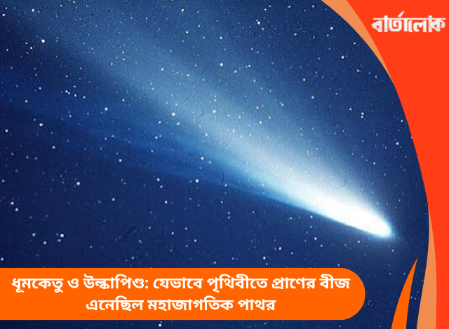 ধূমকেতু ও উল্কাপিণ্ড: যেভাবে পৃথিবীতে প্রাণের বীজ এনেছিল মহাজাগতিক পাথর