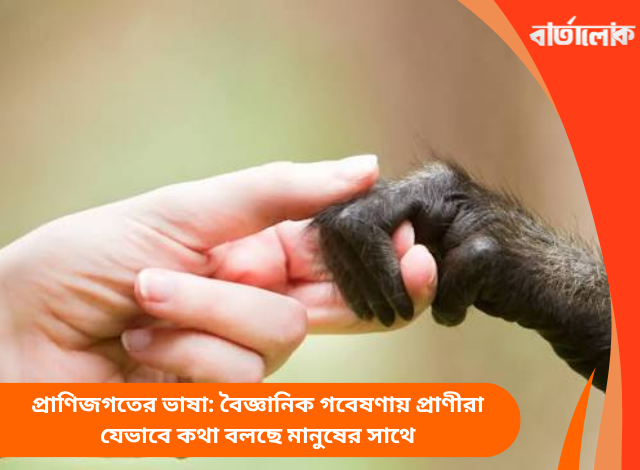 প্রাণিজগতের ভাষা: বৈজ্ঞানিক গবেষণায় প্রাণীরা যেভাবে কথা বলছে মানুষের সাথে