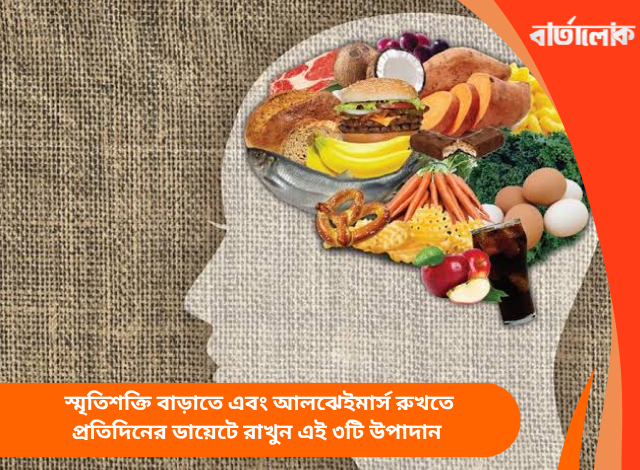 স্মৃতিশক্তি বাড়াতে এবং আলঝেইমার্স রুখতে প্রতিদিনের ডায়েটে রাখুন এই ৩টি উপাদান