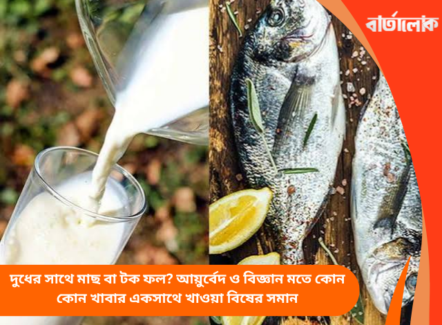 দুধের সাথে মাছ বা টক ফল? আয়ুর্বেদ ও বিজ্ঞান মতে কোন কোন খাবার একসাথে খাওয়া বিষের সমান