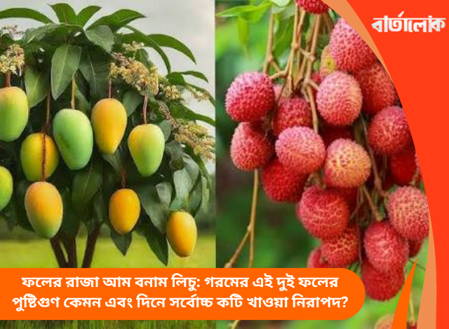 ফলের রাজা আম বনাম লিচু: গরমের এই দুই ফলের পুষ্টিগুণ কেমন এবং দিনে সর্বোচ্চ কটি খাওয়া নিরাপদ?