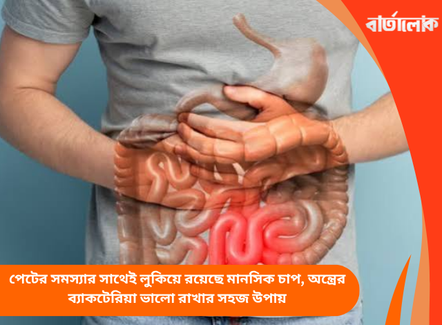 পেটের সমস্যার সাথেই লুকিয়ে রয়েছে মানসিক চাপ, অন্ত্রের ব্যাকটেরিয়া ভালো রাখার সহজ উপায়