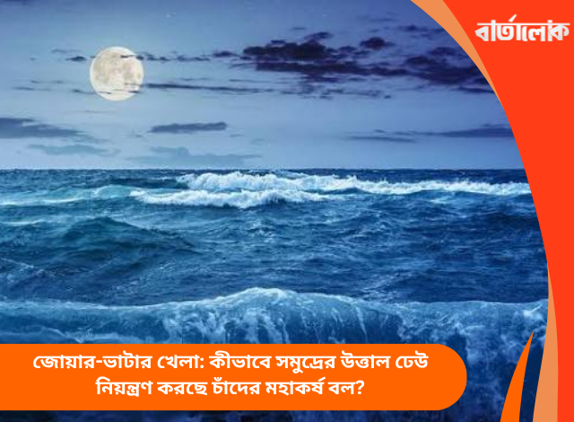জোয়ার-ভাটার খেলা: কীভাবে সমুদ্রের উত্তাল ঢেউ নিয়ন্ত্রণ করছে চাঁদের মহাকর্ষ বল?