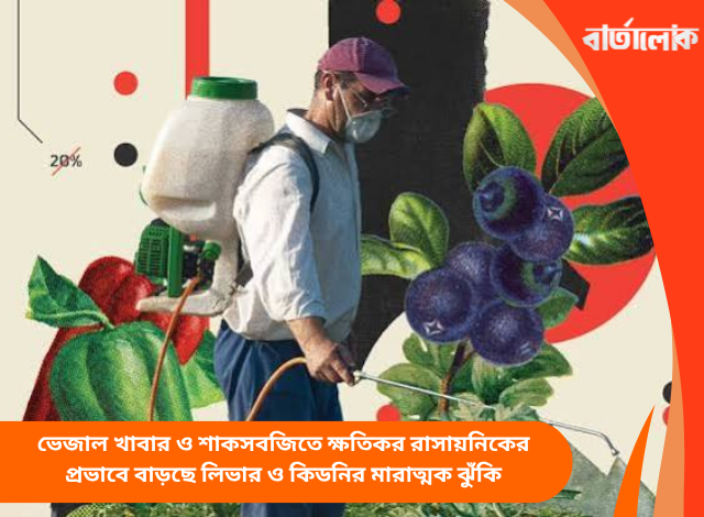 ভেজাল খাবার ও শাকসবজিতে ক্ষতিকর রাসায়নিকের প্রভাবে বাড়ছে লিভার ও কিডনির মারাত্মক ঝুঁকি