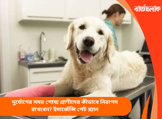 দুর্যোগের সময় পোষ্য প্রাণীদের কীভাবে নিরাপদ রাখবেন? ইমার্জেন্সি পেট প্ল্যান