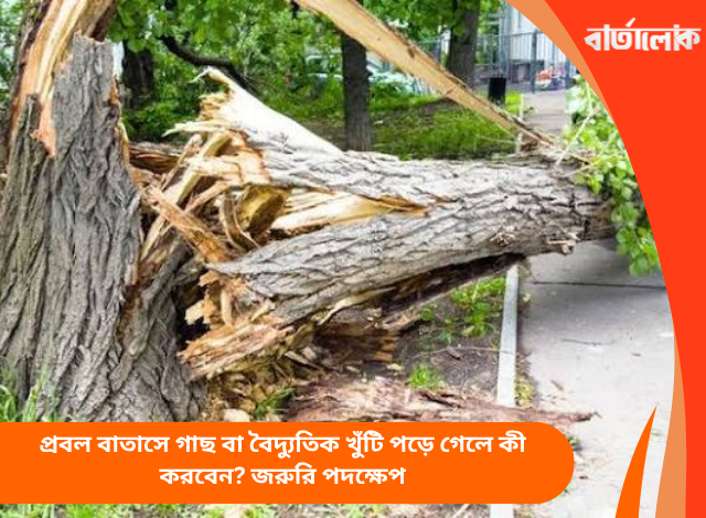 প্রবল বাতাসে গাছ বা বৈদ্যুতিক খুঁটি পড়ে গেলে কী করবেন? জরুরি পদক্ষেপ