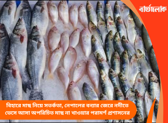 বিহারে মাছ নিয়ে সতর্কতা, নেপালের বন্যার জেরে নদীতে ভেসে আসা অপরিচিত মাছ না খাওয়ার পরামর্শ প্রশাসনের