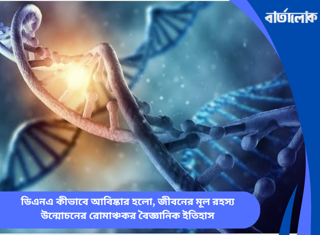 ডিএনএ কীভাবে আবিষ্কার হলো, জীবনের মূল রহস্য উন্মোচনের রোমাঞ্চকর বৈজ্ঞানিক ইতিহাস