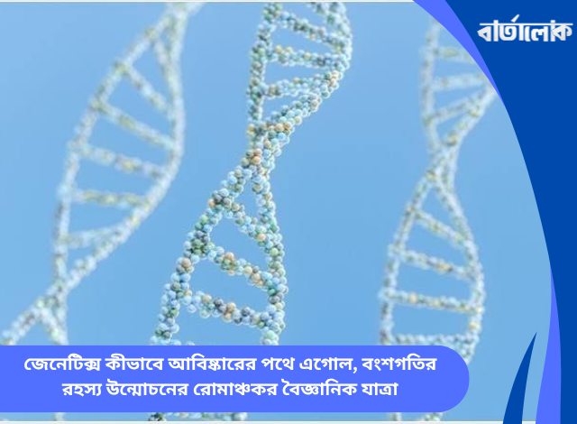 জেনেটিক্স কীভাবে আবিষ্কারের পথে এগোল, বংশগতির রহস্য উন্মোচনের রোমাঞ্চকর বৈজ্ঞানিক যাত্রা