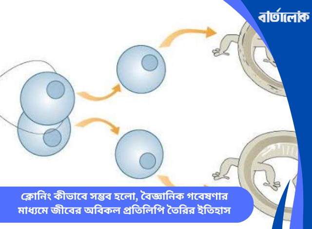 ক্লোনিং কীভাবে সম্ভব হলো, বৈজ্ঞানিক গবেষণার মাধ্যমে জীবের অবিকল প্রতিলিপি তৈরির ইতিহাস