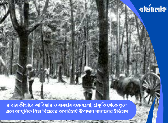 রাবার কীভাবে আবিষ্কার ও ব্যবহার শুরু হলো, প্রকৃতি থেকে তুলে এনে আধুনিক শিল্প বিপ্লবের অপরিহার্য উপাদান বানানোর ইতিহাস
