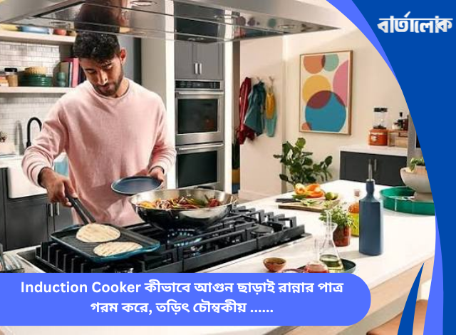 Induction Cooker কীভাবে আগুন ছাড়াই রান্নার পাত্র গরম করে, তড়িৎ চৌম্বকীয় আবেশ ও আধুনিক রান্নার প্রযুক্তির ঐতিহাসিক যাত্রা