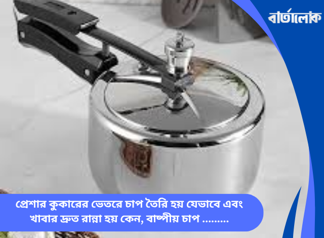 প্রেশার কুকারের ভেতরে চাপ তৈরি হয় যেভাবে এবং খাবার দ্রুত রান্না হয় কেন, বাষ্পীয় চাপ ও থার্মোডাইনামিক্সের ঐতিহাসিক যাত্রা