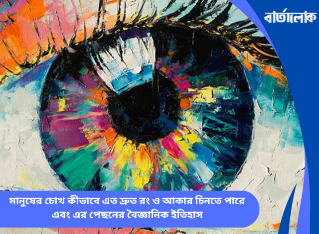 মানুষের চোখ কীভাবে এত দ্রুত রং ও আকার চিনতে পারে এবং এর পেছনের বৈজ্ঞানিক ইতিহাস