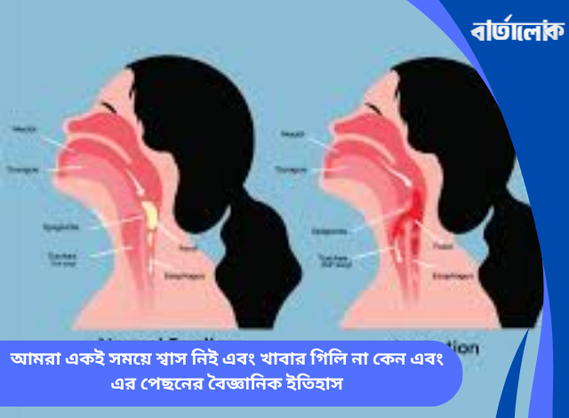 আমরা একই সময়ে শ্বাস নিই এবং খাবার গিলি না কেন এবং এর পেছনের বৈজ্ঞানিক ইতিহাস