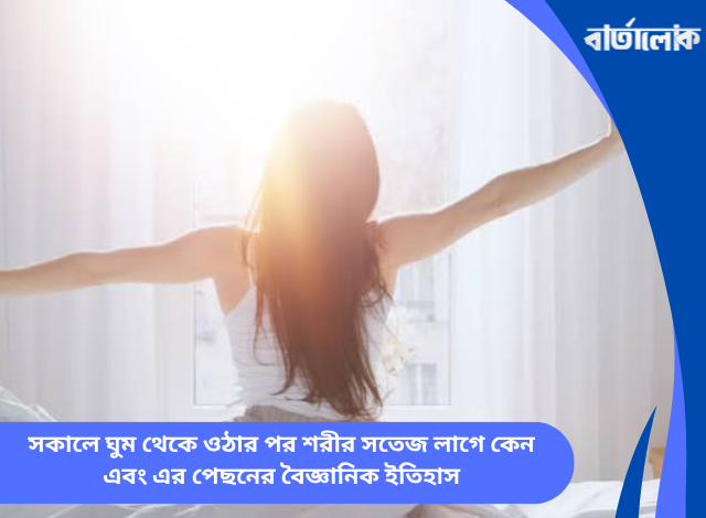 সকালে ঘুম থেকে ওঠার পর শরীর সতেজ লাগে কেন এবং এর পেছনের বৈজ্ঞানিক ইতিহাস