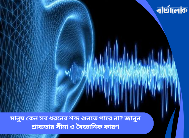 মানুষ কেন সব ধরনের শব্দ শুনতে পারে না? জানুন শ্রাব্যতার সীমা ও বৈজ্ঞানিক কারণ