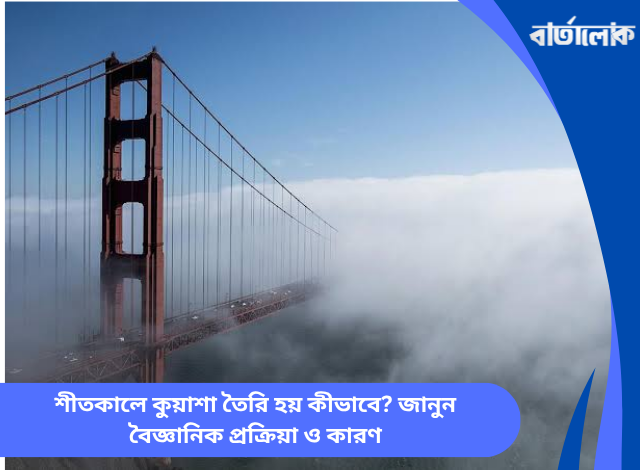 শীতকালে কুয়াশা তৈরি হয় কীভাবে? জানুন বৈজ্ঞানিক প্রক্রিয়া ও কারণ