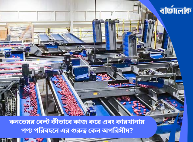 কনভেয়র বেল্ট কীভাবে কাজ করে এবং কারখানায় পণ্য পরিবহনে এর গুরুত্ব কেন অপরিসীম?