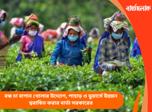 বন্ধ চা বাগান খোলার উদ্যোগ, পাহাড় ও ডুয়ার্সে উন্নয়ন ত্বরান্বিত করার বার্তা সরকারের