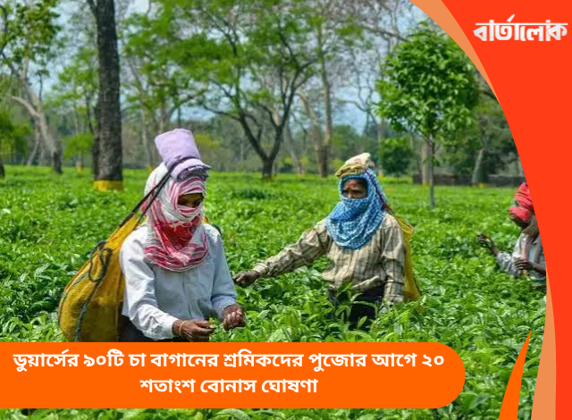 ডুয়ার্সের ৯০টি চা বাগানের শ্রমিকদের পুজোর আগে ২০ শতাংশ বোনাস ঘোষণা