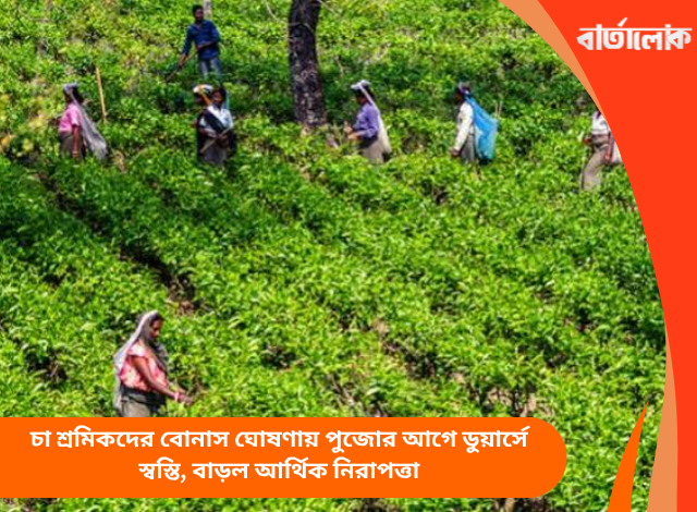 চা শ্রমিকদের বোনাস ঘোষণায় পুজোর আগে ডুয়ার্সে স্বস্তি, বাড়ল আর্থিক নিরাপত্তা