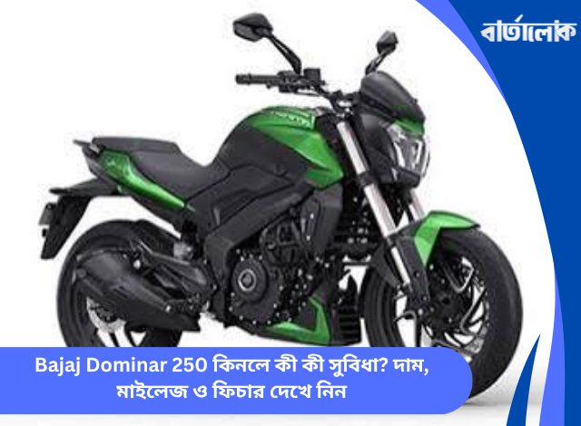 Bajaj Dominar 250 কিনলে কী কী সুবিধা? দাম, মাইলেজ ও ফিচার দেখে নিন